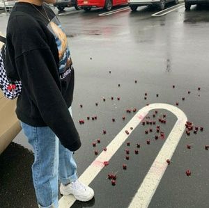 Meet your Posher, Monica